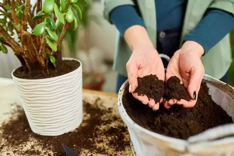 Potting Soil